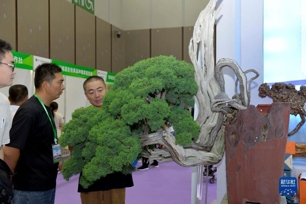 尊亿娱乐手机版网页